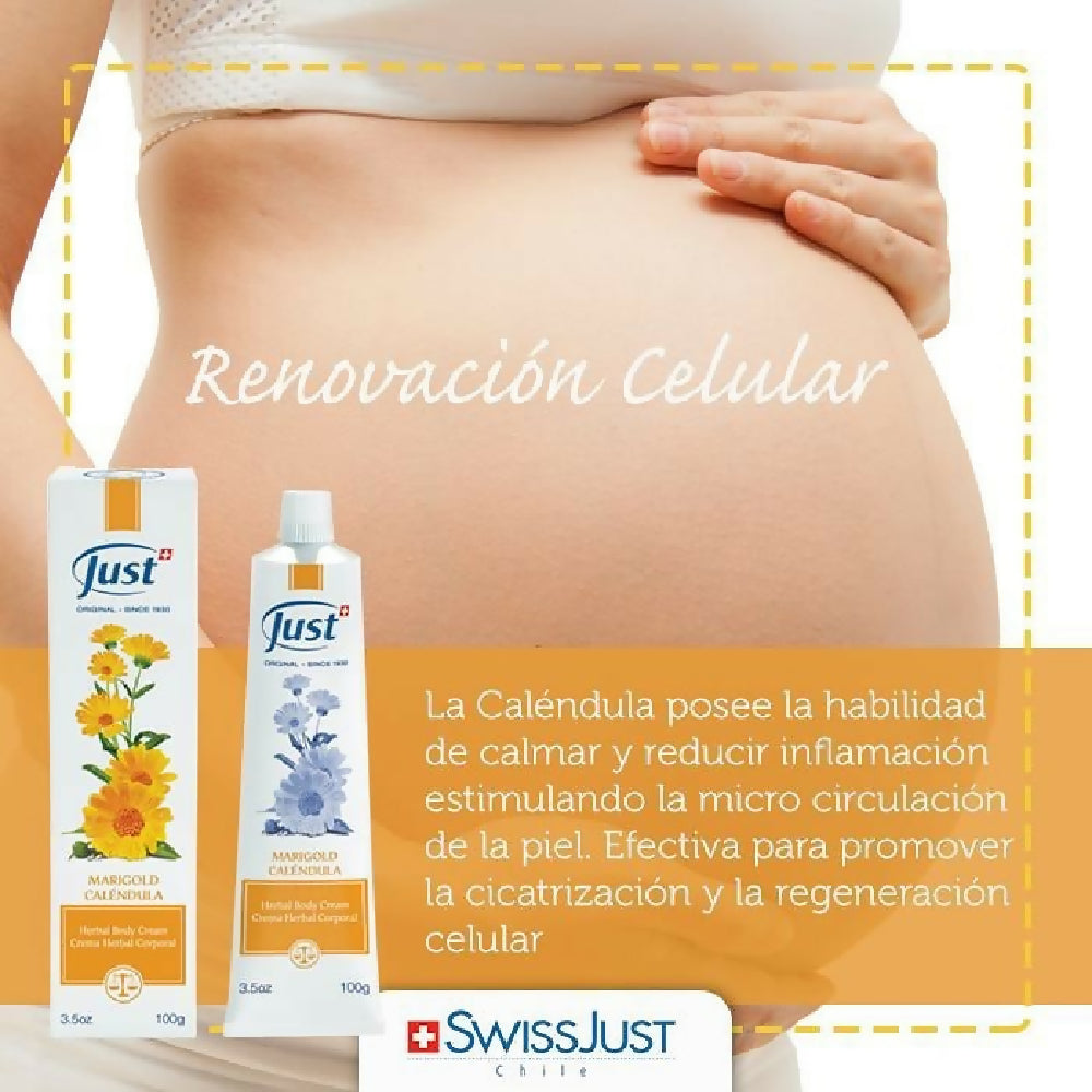 WhatsApp Image 2026-03-30 at 19.53.24 (1)