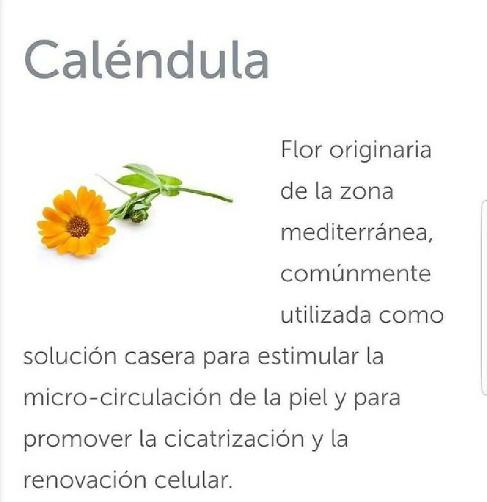 WhatsApp Image 2026-03-30 at 19.53.25